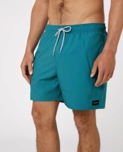 Rip Curl Daily Volley Shorts Washed Forrest