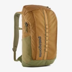 Patagonia Black Hole 25 L Rucksack Puffer Gold
