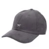 Iriedaily Corvin Dad Cap Anthracite