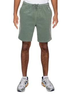 Iriedaily Corvin Shorts Mintgrey
