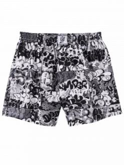 Lousy Livin Up Throw Ups Boxi White